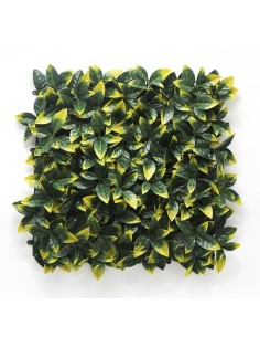 ΠΑΝΕΛ ΦΥΛΛΩΣΙΑΣ BERLIN 50 Χ 50 A017 PHOTINIA