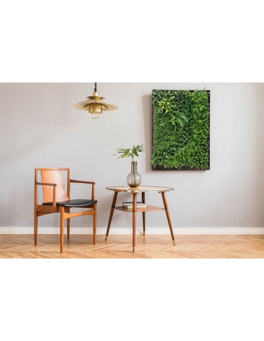 ΚΑΘΕΤΟΣ ΚΗΠΟΣ AMSTERDAM 100 Χ 100 A110 BEAUTY...