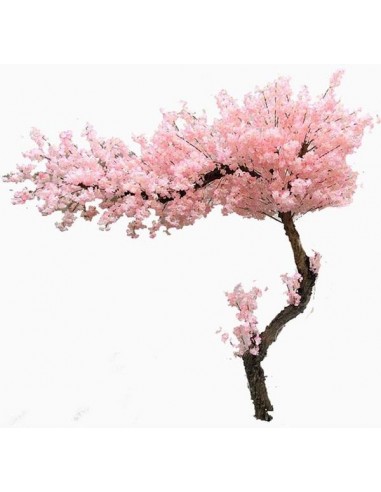 CHERRY BLOSSOM TREE NP0001_200  ΥΨΟΣ 200x200cm