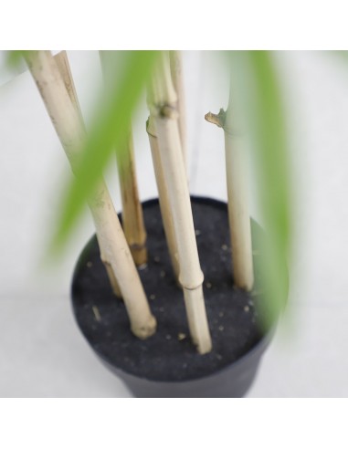 BAMBOO  NP0070_210 ΥΨΟΣ 210cm