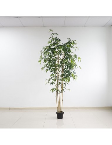 BAMBOO  NP0070_210 ΥΨΟΣ 210cm