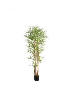 BAMBOO  NP0075_180 ΥΨΟΣ 180cm