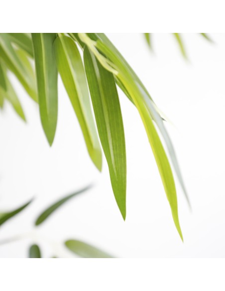 BAMBOO  NP0075_180 ΥΨΟΣ 180cm