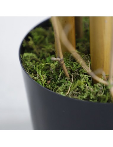 BAMBOO  NP0075_180 ΥΨΟΣ 180cm