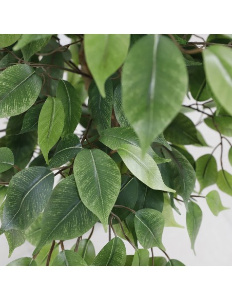 FICUS TREE NP0081_210   ΥΨΟΣ 210cm
