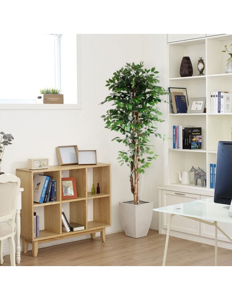 FICUS TREE NP0081_210   ΥΨΟΣ 210cm