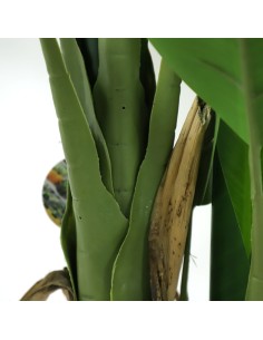 BANANA TREE NP018_280_22  ΥΨΟΣ 280cm 2