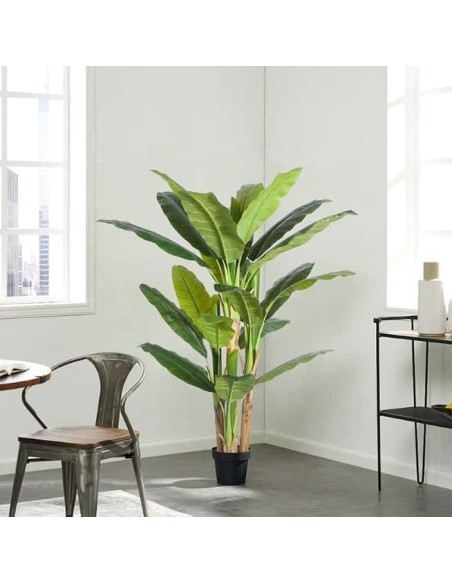 BANANA TREE NP018_280_22  ΥΨΟΣ 280cm