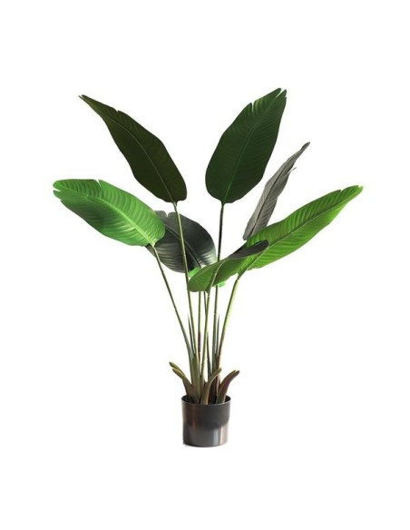 BANANA TREE NP1410_120  ΥΨΟΣ 120cm