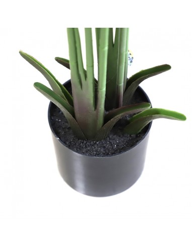 BANANA TREE NP1410_120  ΥΨΟΣ 120cm