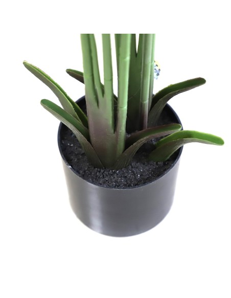 BANANA TREE NP1410_120  ΥΨΟΣ 120cm