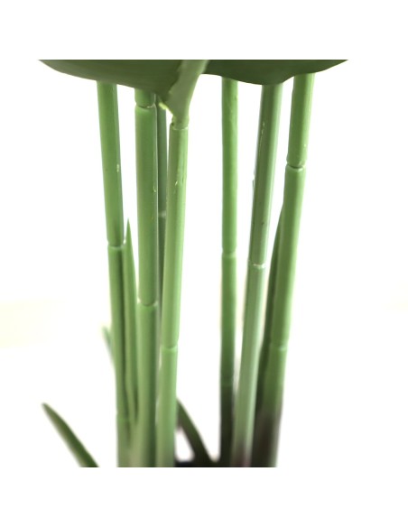 BANANA TREE NP1410_120  ΥΨΟΣ 120cm