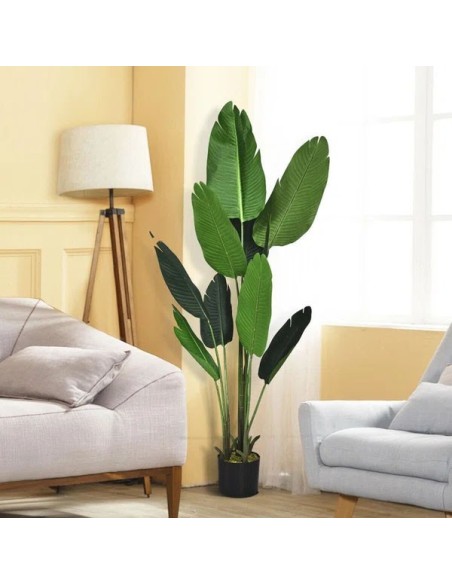 BANANA TREE NP1410_120  ΥΨΟΣ 120cm