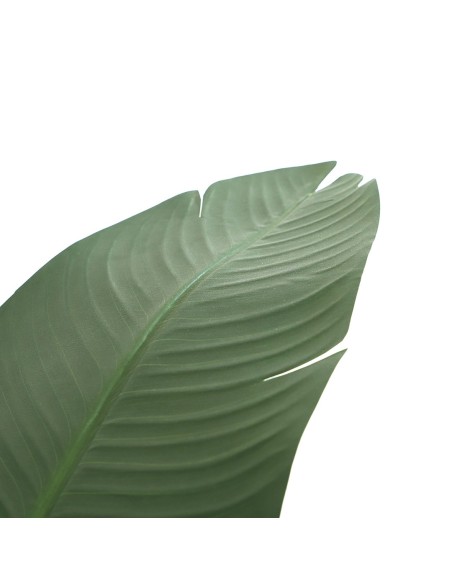 BANANA TREE NP1411_160  ΥΨΟΣ 160cm