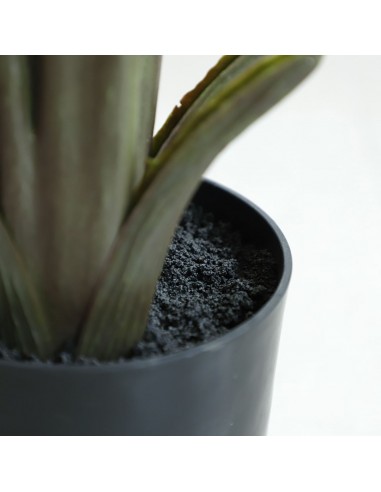 BANANA TREE NP1411_160  ΥΨΟΣ 160cm