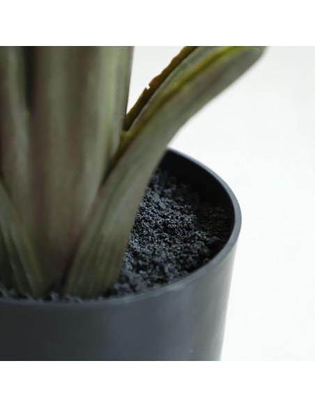 BANANA TREE NP1411_160  ΥΨΟΣ 160cm