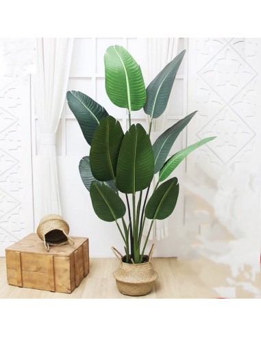 BANANA TREE NP1411_160  ΥΨΟΣ 160cm