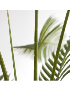 PALM TREE  NP160_210_UV  ΥΨΟΣ 210cm 2