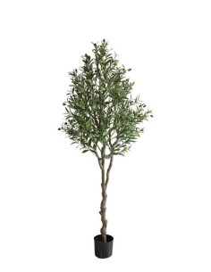 OLIVE TREE NP410_180  ΥΨΟΣ 180cm