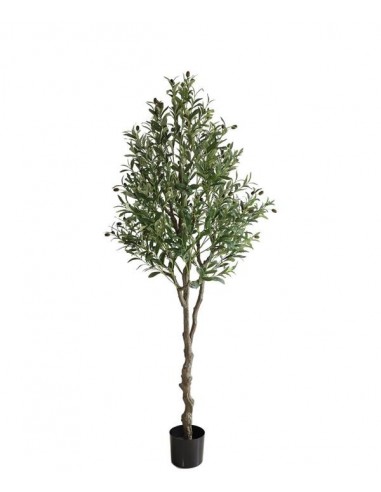 OLIVE TREE NP410_180  ΥΨΟΣ 180cm