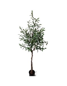 OLIVE TREE NP4817_160_22   ΥΨΟΣ 160cm