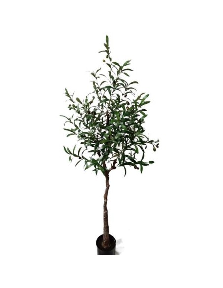 OLIVE TREE NP4817_160_22   ΥΨΟΣ 160cm