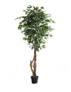 FICUS TREE NP5209_180  ΥΨΟΣ 180cm
