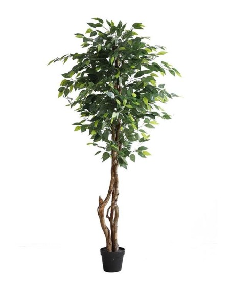 FICUS TREE NP5209_180  ΥΨΟΣ 180cm