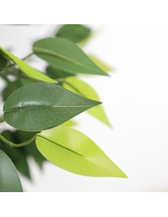 FICUS TREE NP5209_180  ΥΨΟΣ 180cm 2