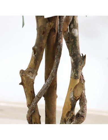 FICUS TREE NP5209_180  ΥΨΟΣ 180cm