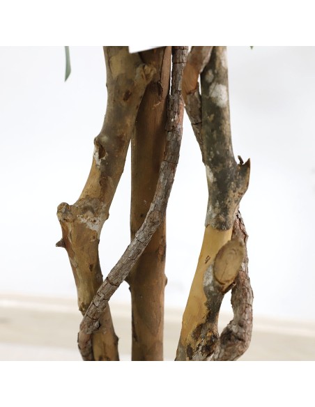 FICUS TREE NP5209_180  ΥΨΟΣ 180cm