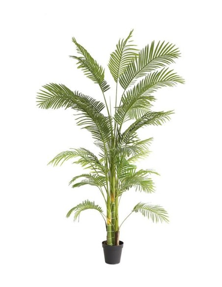 PALM TREE  NP5500_240_22 ΥΨΟΣ 240cm