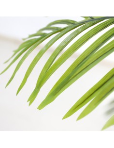 PALM TREE  NP5500_240_22 ΥΨΟΣ 240cm 2