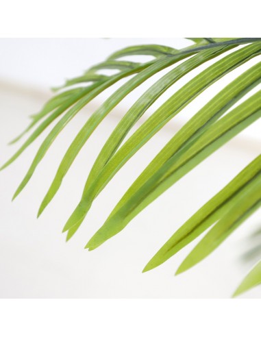 PALM TREE  NP5500_240_22 ΥΨΟΣ 240cm