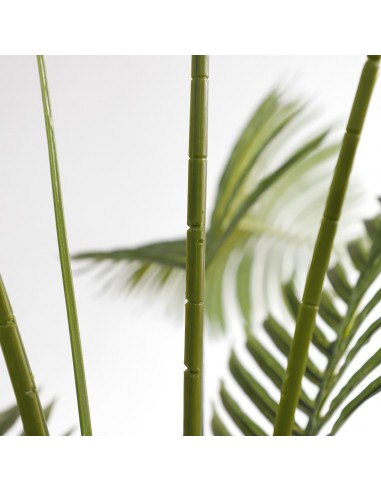 PALM TREE  NP5500_240_22 ΥΨΟΣ 240cm