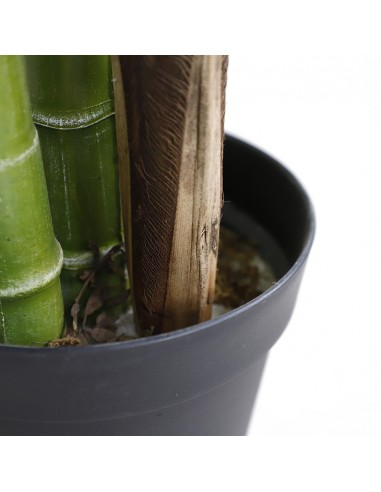 PALM TREE  NP5500_240_22 ΥΨΟΣ 240cm