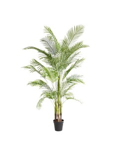 PALM TREE  NP5501_210_22  ΥΨΟΣ 210cm