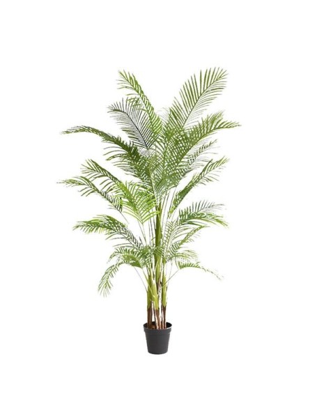 PALM TREE  NP5501_210_22  ΥΨΟΣ 210cm