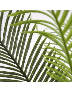 PALM TREE  NP5501_210_22  ΥΨΟΣ 210cm 2