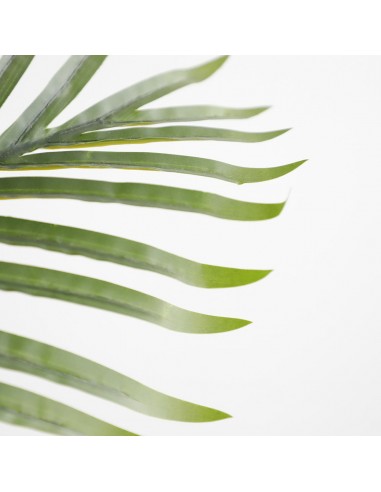 PALM TREE  NP5501_210_22  ΥΨΟΣ 210cm
