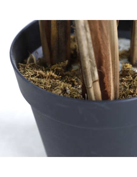 PALM TREE  NP5501_210_22  ΥΨΟΣ 210cm