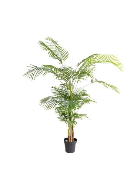 PALM TREE  NP5502_180_22   ΥΨΟΣ 180cm