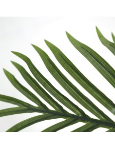 PALM TREE  NP5502_180_22   ΥΨΟΣ 180cm 2