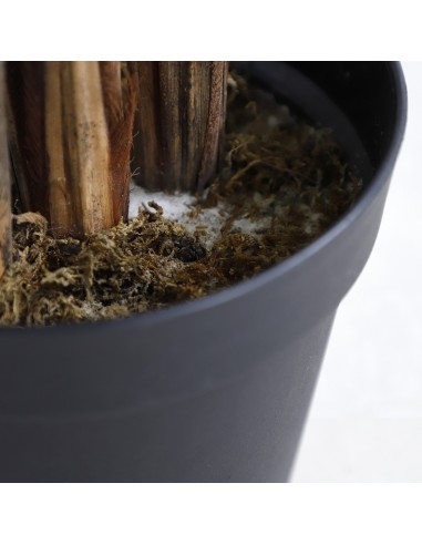 PALM TREE  NP5502_180_22   ΥΨΟΣ 180cm