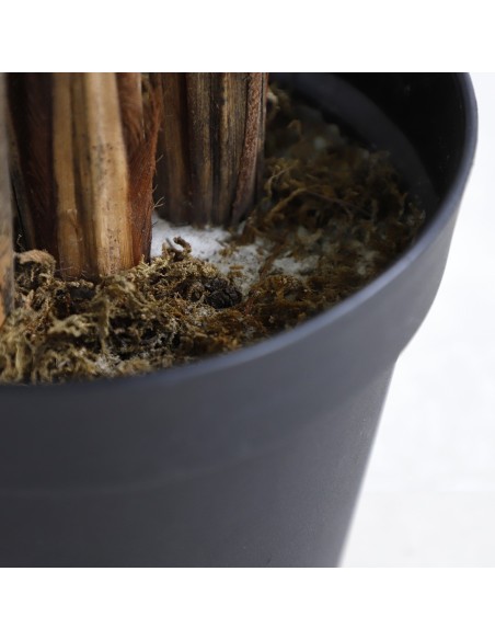 PALM TREE  NP5502_180_22   ΥΨΟΣ 180cm