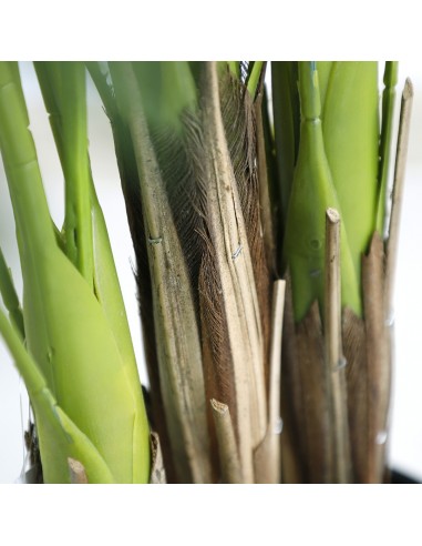 PALM TREE  NP5502_180_22   ΥΨΟΣ 180cm