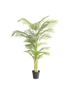PALM TREE  NP5506_180_22  ΥΨΟΣ 180cm