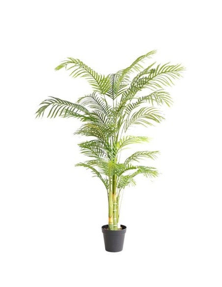 PALM TREE  NP5506_180_22  ΥΨΟΣ 180cm