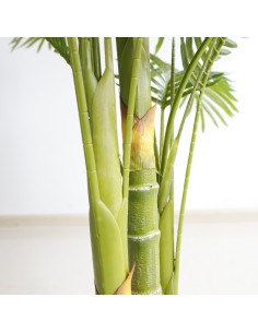 PALM TREE  NP5506_180_22  ΥΨΟΣ 180cm 2