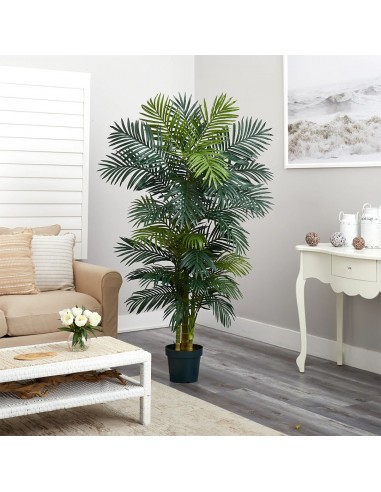 PALM TREE  NP5506_180_22  ΥΨΟΣ 180cm